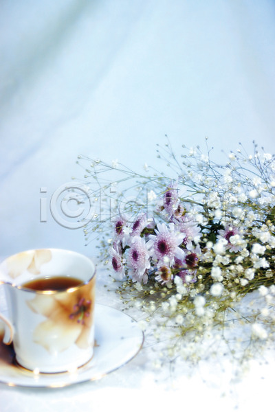사람없음 JPG 포토 국화 꽃 꽃다발 백그라운드 식물 실내 안개꽃 여러송이 커피 커피잔 컬러 컵받침
