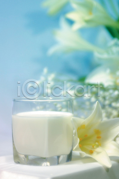 사람없음 JPG 아웃포커스 포토 꽃 백그라운드 백합(꽃) 식물 실내 여러송이 우유 음료 음식 잔 컬러 컵 흰색