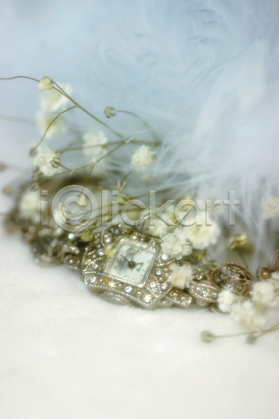 사람없음 JPG 아웃포커스 포토 꽃 백그라운드 보석 손목시계 시계 식물 실내 안개꽃 여러송이 컬러