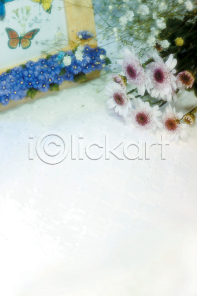 사람없음 JPG 아웃포커스 포토 국화 꽃 꽃다발 나비 백그라운드 식물 실내 액자 여러송이 인테리어 컬러