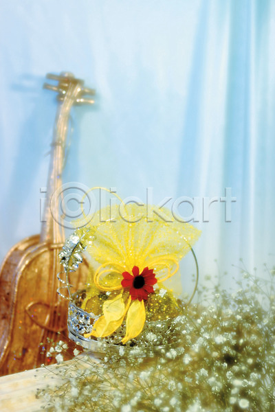 사람없음 JPG 아웃포커스 포토 꽃 리본 백그라운드 식물 실내 악기 안개꽃 여러송이 장식 컬러