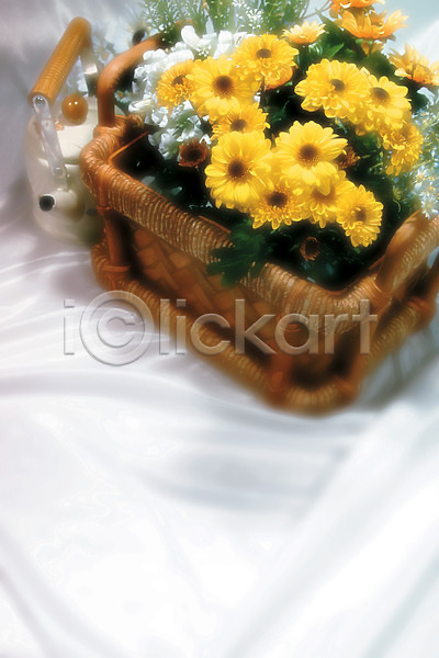 사람없음 JPG 포토 하이앵글 꽃 꽃바구니 노란색 데이지 바구니 백그라운드 식물 실내 여러송이 주전자 직물 천(직물) 컬러