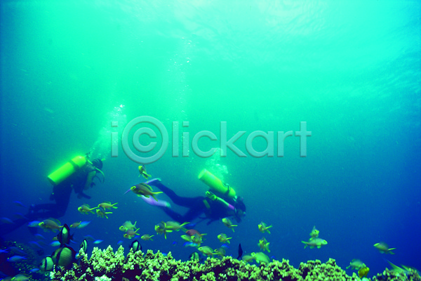 두명 JPG 포토 다수 동물 바다 바다동물 바닷속 산호 산호초 생태계 수영 수중 수중동물 수중사진 스쿠버다이버 스쿠버다이빙 야외 어류 여러마리 자연 잠수 잠수부 주간 청록색 컬러 풍경(경치) 해저