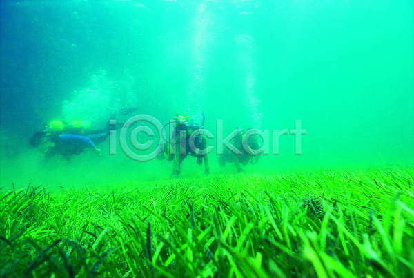세명 JPG 포토 거품 물기포 물방울 바다 바닷속 생태계 수영 수중 수중사진 수중식물 스쿠버다이버 스쿠버다이빙 식물 자연 잠수 잠수부 청록색 초록색 컬러 풍경(경치) 해저 해조류