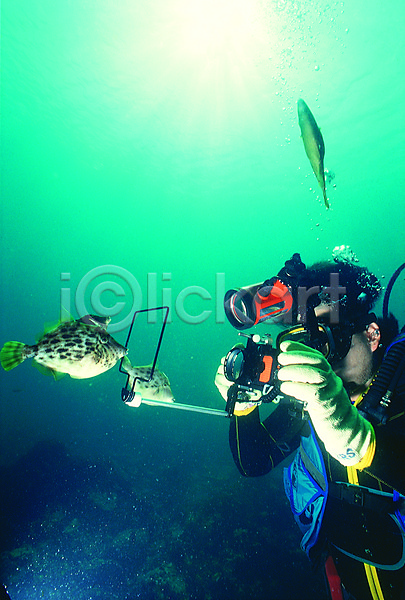 한명 JPG 포토 거품 동물 물기포 물방울 바다 바다동물 바닷속 빛 사진촬영 생태계 세마리 수중 수중동물 수중사진 스쿠버다이버 스쿠버다이빙 야외 어류 자연 잠수 잠수부 주간 쥐치 촬영 카메라 해저 햇빛