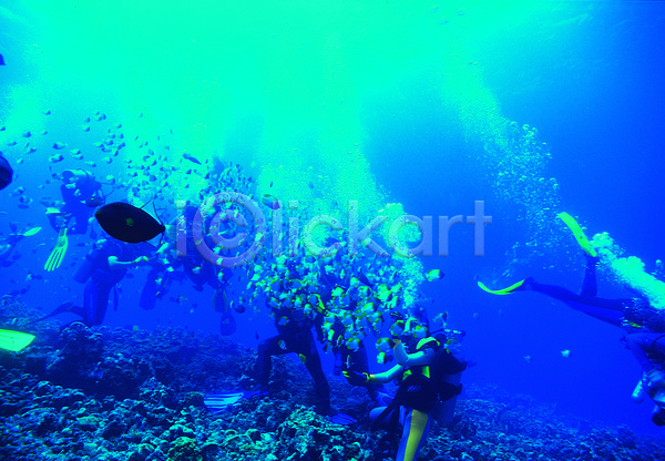 여러명 JPG 포토 거품 나비고기 다수 동물 물기포 바다 바다동물 바닷속 생태계 수중 수중동물 수중사진 스쿠버다이버 스쿠버다이빙 야외 어류 여러마리 열대어 자연 잠수 잠수부 주간 컬러 파란색 풍경(경치) 해저