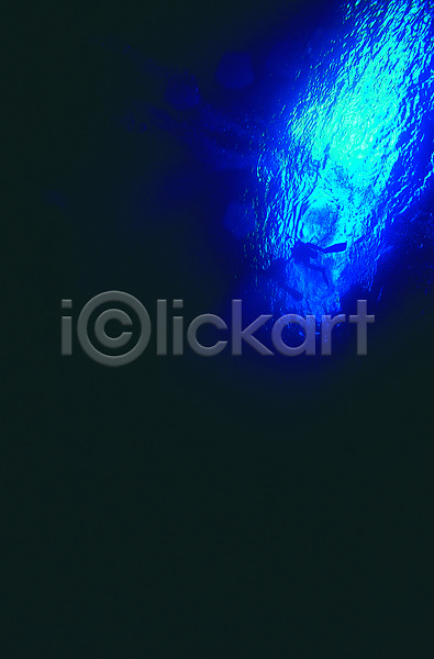 두명 사람 JPG 로우앵글 포토 바다 바닷속 생태계 수중 수중사진 스쿠버다이버 스쿠버다이빙 야외 어둠 자연 잠수 잠수부 주간 풍경(경치) 해저