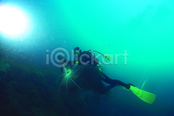 한명 JPG 포토 돌(바위) 동물 문어 바다 바다동물 바닷속 바위(돌) 빛 생태계 수중 수중동물 수중사진 스쿠버다이버 스쿠버다이빙 야외 연체동물 자연 잠수 잠수부 주간 청록색 컬러 파란색 한마리 해저