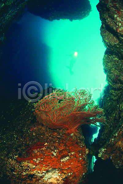 사람 한명 JPG 포토 돌(바위) 동굴 바다 바닷속 바위(돌) 산호 산호초 생태계 수중 수중동굴 수중사진 스쿠버다이버 스쿠버다이빙 야외 어둠 자연 잠수 잠수부 주간 풍경(경치) 해변 해저