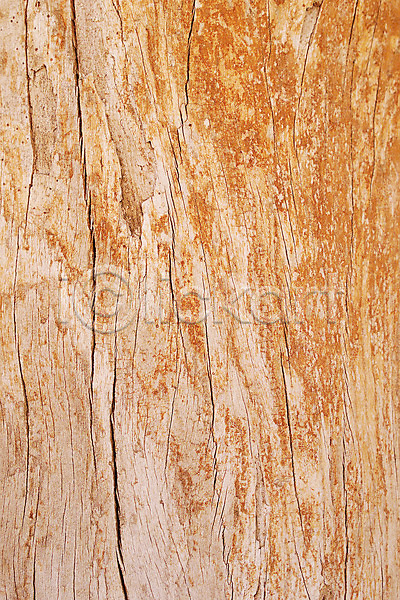 사람없음 JPG 근접촬영 포토 갈색 건축자재 결 균열 나무 목재 백그라운드 자재 컬러 표면
