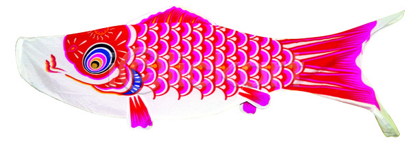 사람없음 JPG 포토 고이노보리 누끼 동물 동물모양 물고기모양 빨간색 스튜디오촬영 실내 어류 어린이날 오브젝트 이벤트 일본 잉어 장식 전통소품 축제 컬러 한개