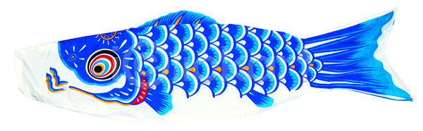 사람없음 JPG 포토 고이노보리 누끼 동물 동물모양 물고기모양 스튜디오촬영 실내 어류 어린이날 오브젝트 이벤트 일본 잉어 장식 전통소품 축제 컬러 파란색 한개