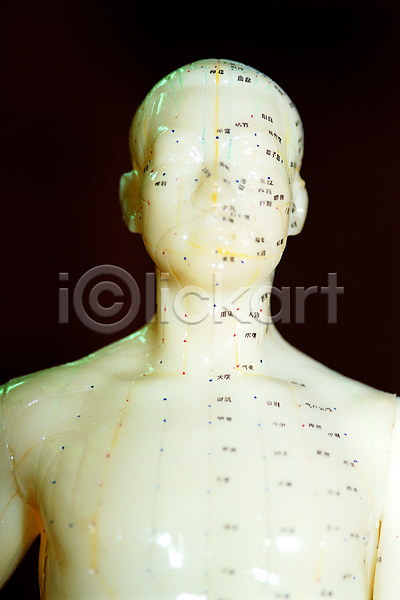 사람없음 JPG 포토 뜸 마네킹 모형 상반신 수지침 스튜디오촬영 실내 의학 인체모형 침술 한의원 한의학 혈자리