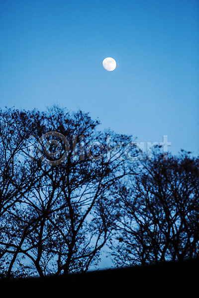 사람없음 JPG 포토 국내여행 나무 논산 보름달 야간 야외 충청남도 풍경(경치) 하늘 한국전통