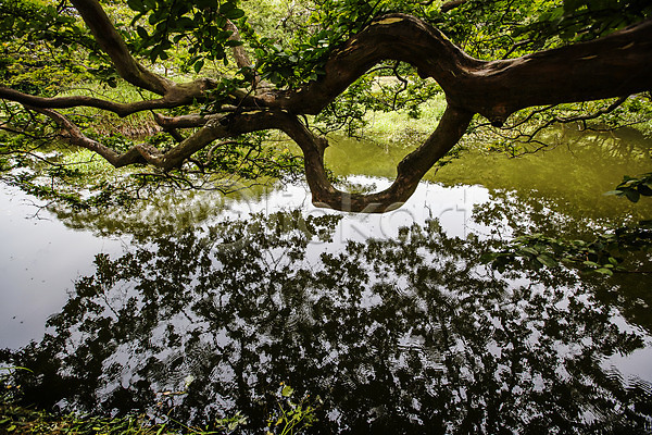 사람없음 JPG 포토 나무 담양 반사 소쇄원 수면 야외 전라남도 주간 호수