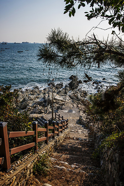 사람없음 JPG 포토 계단 나무울타리 바다 바위 부산 소나무 야외 영도 주간 풍경(경치)