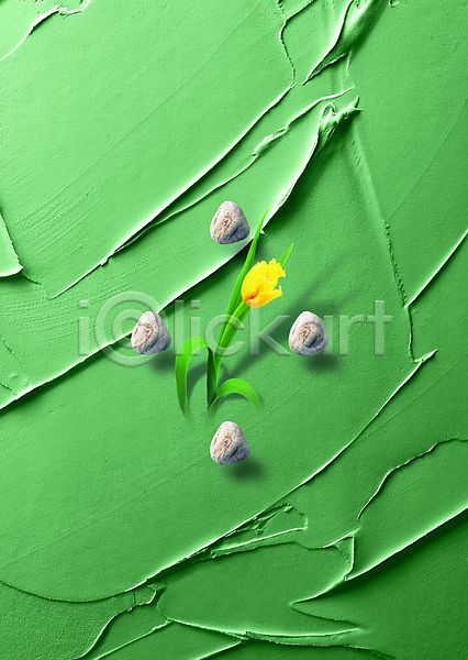 사람없음 PSD 디지털합성 편집이미지 꽃 노란색 담장 돌(바위) 백그라운드 벽 식물 조약돌 초록색 컬러 페인트 페인트칠 편집 한송이 합성