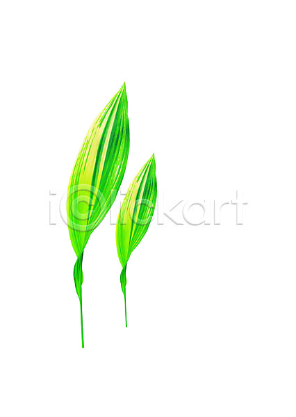 사람없음 PSD 편집이미지 그림자 나뭇잎 두개 백그라운드 식물 잎 자연 초록색 컬러 편집 풀(식물) 풀잎
