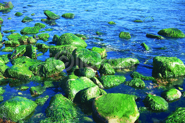 평화 사람없음 JPG 포토 돌(바위) 바다 바위(돌) 야외 이끼 자연 자연현상 주간 초록색 컬러 파도 파란색 풍경(경치) 해변