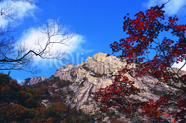 사람없음 JPG 로우앵글 포토 가을(계절) 계절 관광지 구름(자연) 금강산 나무 단풍 단풍나무 돌(바위) 돌산 바위(돌) 산 산기슭 식물 야외 자연 주간 컬러 파노라마 풍경(경치) 하늘 한국