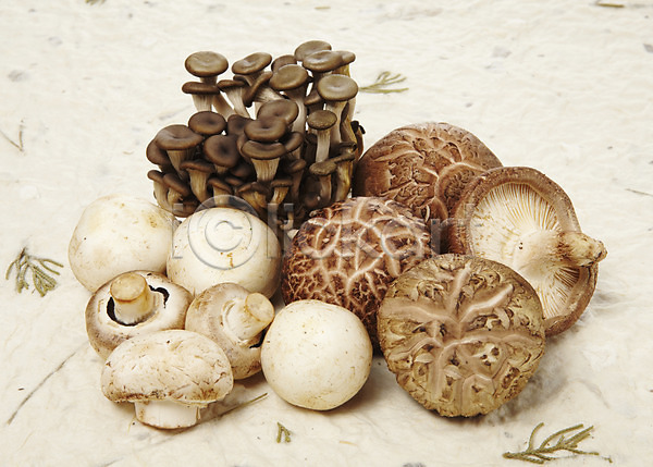 사람없음 JPG 포토 농작물 느타리버섯 다수 다양 버섯 스튜디오촬영 식용버섯 식재료 실내 양송이 여러개 음식 표고버섯