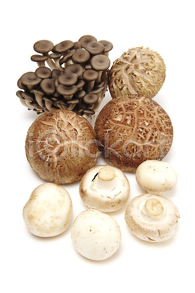 사람없음 JPG 포토 농작물 누끼 느타리버섯 다수 다양 버섯 스튜디오촬영 식용버섯 식재료 실내 양송이 여러개 음식 표고버섯