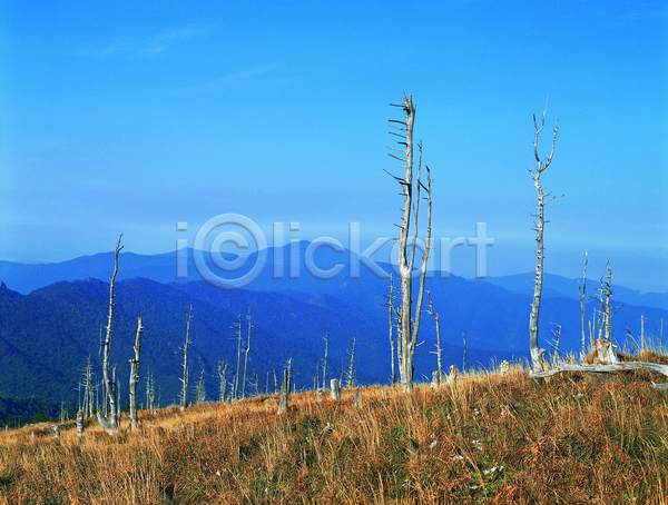 사람없음 JPG 포토 관광지 나무 남원 산 숲 식물 야외 자연 전라도 전라북도 정상 주간 지리산 컬러 풍경(경치) 하늘 한국