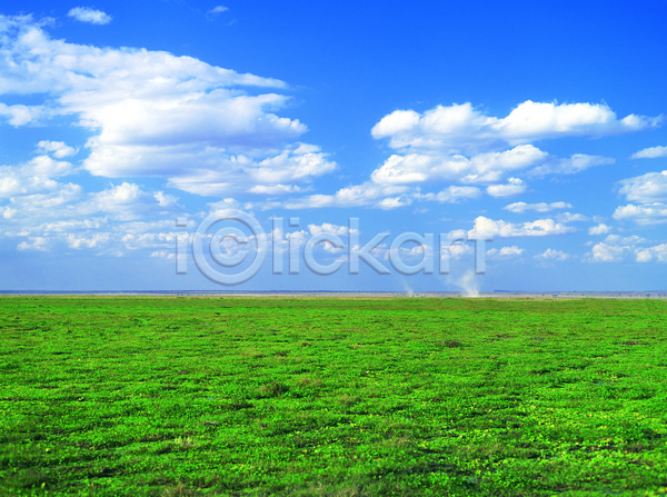 사람없음 JPG 포토 구름(자연) 맑음 야외 자연 잔디 주간 초록색 초원(자연) 컬러 파란색 풍경(경치) 하늘 흰구름