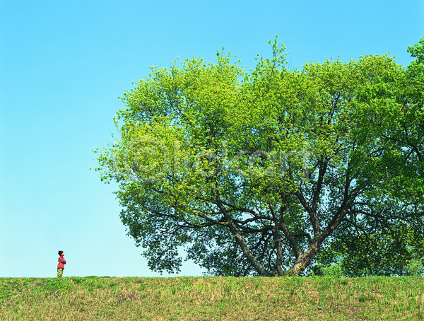 사람 어린이 어린이만 한명 JPG 포토 나무 서기 식물 야외 응시 자연 주간 초록색 컬러 큼 풍경(경치) 한그루