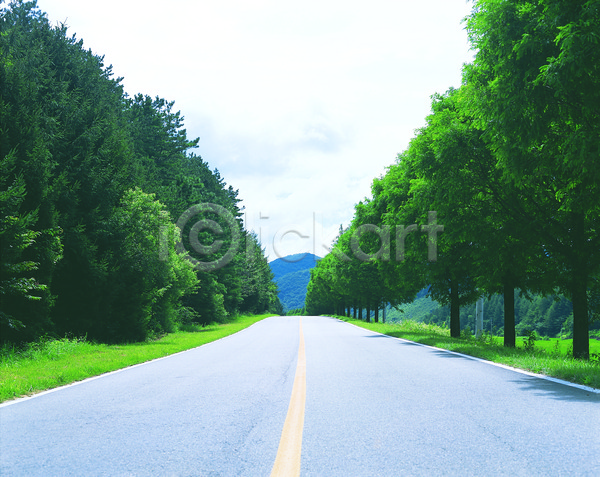사람없음 JPG 포토 가로수 거리 거리풍경 교통시설 길 나무 도로 산 식물 아스팔트(도로) 야외 원근감 주간 중앙선 차도 차선(도로) 풍경(경치)