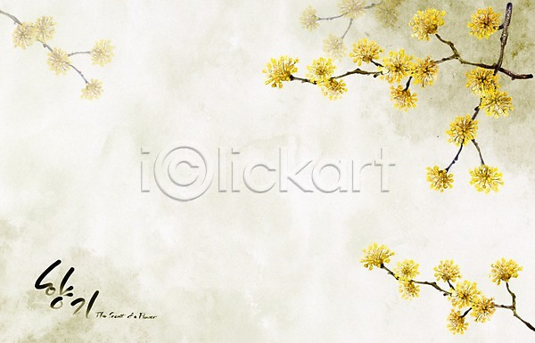 사람없음 PSD 일러스트 꽃 꽃백그라운드 노란색 백그라운드 봄 봄꽃 봄배경 산수유 손그림 수묵화 수채화(물감) 식물 자연 캘리그라피 페인터 향기