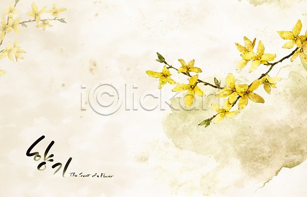 사람없음 PSD 일러스트 개나리 꽃 꽃백그라운드 노란색 백그라운드 봄 봄꽃 봄배경 손그림 수묵화 수채화(물감) 식물 자연 캘리그라피 페인터 향기
