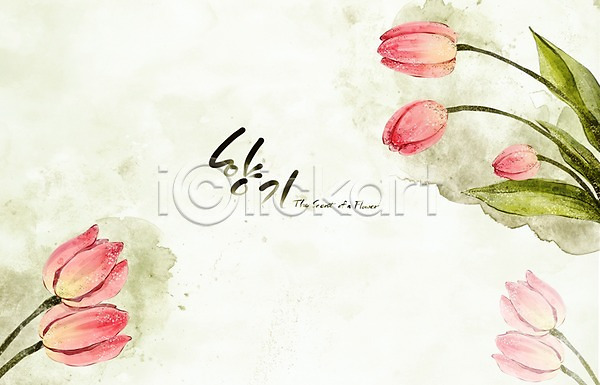 사람없음 PSD 일러스트 꽃 꽃백그라운드 백그라운드 봄 봄꽃 봄배경 분홍색 손그림 수묵화 수채화(물감) 식물 자연 캘리그라피 튤립 페인터 향기