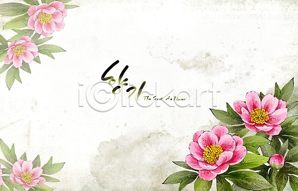 사람없음 PSD 일러스트 꽃 꽃백그라운드 백그라운드 분홍색 손그림 수묵화 수채화(물감) 식물 여름(계절) 여름꽃 자연 작약 캘리그라피 페인터 향기