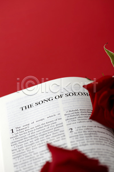 사람없음 JPG 포토 기독교 기독교용품 꽃 빨간색 성경 실내 오브젝트 장미 종교 종교용품
