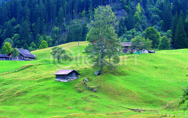 상쾌 사람없음 JPG 포토 건물 건축물 나무 산 숲 스위스 식물 알프스 알프스산 야외 언덕 울타리 유럽 유럽풍경 자연 주간 주택 초록색 컬러 풍경(경치) 해외 해외풍경
