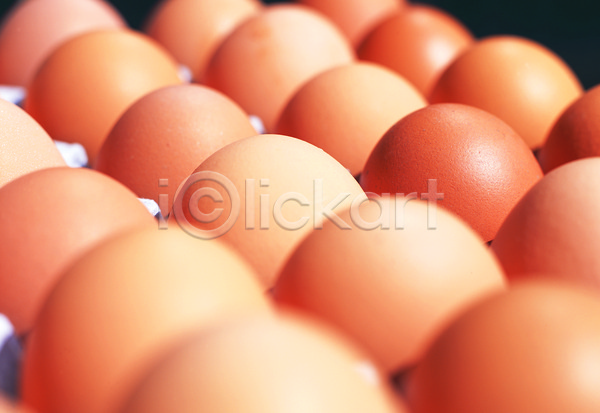 사람없음 JPG 포토 갈색 계란 계란판 다수 스튜디오촬영 식재료 실내 알 여러개 음식 컬러 판