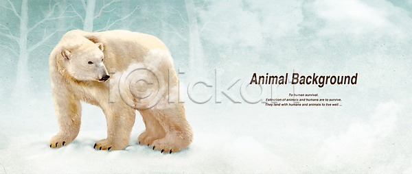 사람없음 PSD 일러스트 겨울 겨울배경 곰 눈(날씨) 동물 맹수 백그라운드 북극 북극곰 육식동물 페인터 포유류 한마리