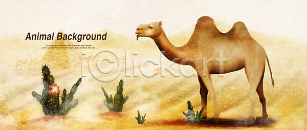 사람없음 PSD 일러스트 낙타 동물 먹이 백그라운드 사막 선인장 여름(계절) 초식동물 페인터 포유류 한마리
