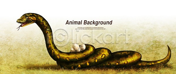 사람없음 PSD 일러스트 계란 동물 백그라운드 뱀 아나콘다 알 열대우림 육식동물 파충류 페인터 포유류 한마리
