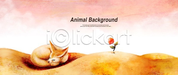 사람없음 PSD 일러스트 꽃 동물 백그라운드 사막 사막여우 여름(계절) 여우 페인터 포유류 한마리