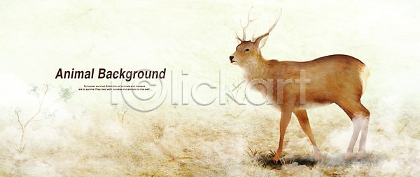 사람없음 PSD 일러스트 동물 백그라운드 뿔 사슴 초식동물 페인터 포유류 한마리