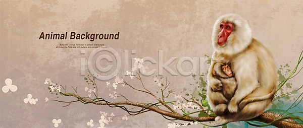 사람없음 PSD 일러스트 나뭇가지 동물 두마리 백그라운드 벚꽃 새끼 앉기 어미 원숭이 일본원숭이 페인터 포유류