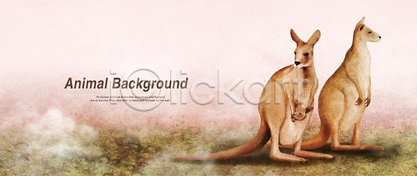 사람없음 PSD 일러스트 권투 꼬리 동물 동물캐릭터 백그라운드 초식동물 캥거루 캥거루캐릭터 페인터 포유류 호주