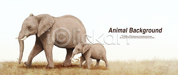 사람없음 PSD 일러스트 동물 두마리 백그라운드 새끼 아프리카 어미 인도(나라) 초식동물 코 코끼리 페인터 포유류