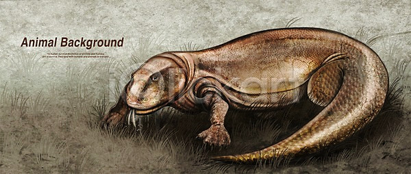 사람없음 PSD 일러스트 공룡 도마뱀 독(독극물) 동물 먹이 백그라운드 코도모도마뱀 파충류 페인터 포유류 풀(식물) 한마리