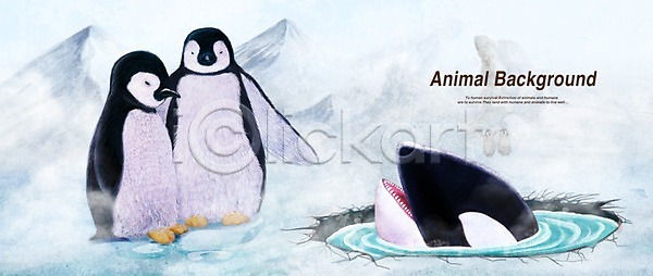 사람없음 PSD 일러스트 겨울 겨울배경 남극 동물 백그라운드 범고래 북극 얼음 조류 페인터 펭귄 포유류