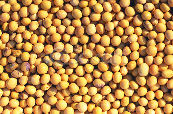 사람없음 JPG 포토 곡류 노란색 농작물 다수 메주콩 백그라운드 식재료 야외 여러개 음식 잡곡 주간 컬러 콩