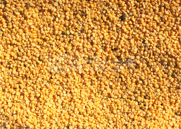 사람없음 JPG 포토 곡류 낟알 노란색 녹두 농작물 다수 백그라운드 식재료 씨앗 알맹이 여러개 음식 잡곡 재료 컬러 콩