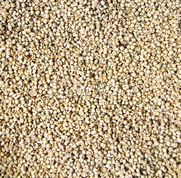 사람없음 JPG 포토 곡류 낟알 농작물 다수 백그라운드 식재료 씨앗 알맹이 여러개 율무 음식 잡곡 재료